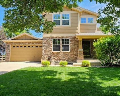 14232 Piney River Road, Broomfield