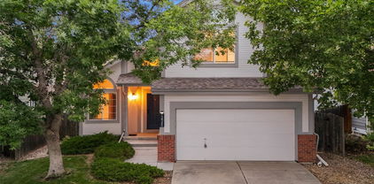 12545 Tammywood Street, Broomfield