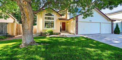 3556 Buffalo Avenue, Broomfield