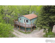 1644 Cold Springs Road, Nederland image