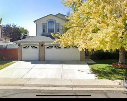 12135 Elizabeth Street, Thornton
