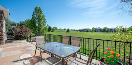 14246 Piney River Road, Broomfield