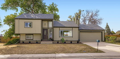 11072 Albion Drive, Thornton