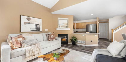 14246 Pikeminnow Place, Broomfield