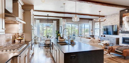 14115 Blue Stem Street, Broomfield