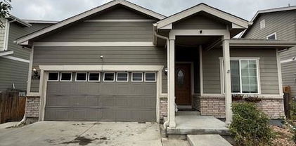 9547 Dahlia Lane, Thornton
