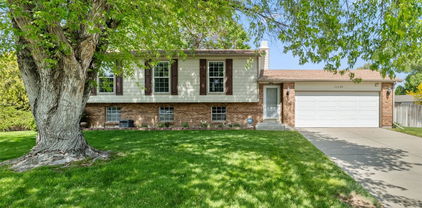 11199 Dahlia Place, Thornton