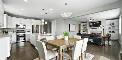 12554 Hudson Court, Thornton