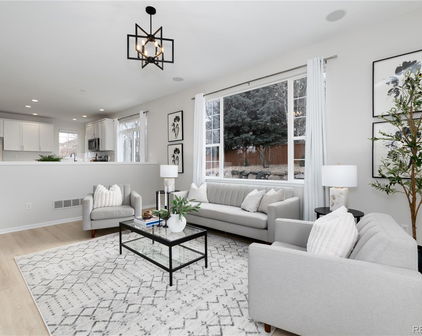 14669 Eagle River Run, Broomfield