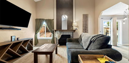 11376 Forest Drive, Thornton