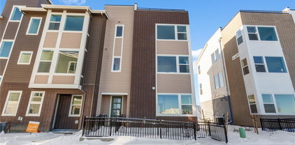14245 Currant Street, Broomfield