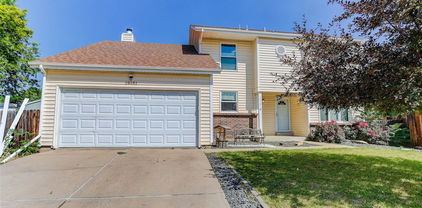 10181 Detroit Court, Thornton