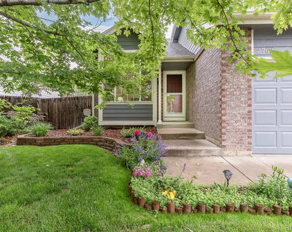 2763 Dharma Avenue, Broomfield