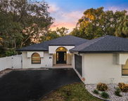 445 Wexford Leas Boulevard, Palm Harbor image