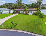 8318 118th Street, Seminole image
