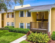 3001 58th Avenue S Unit 1002, St Petersburg image