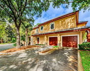 2148 Chianti Place Unit 1310, Palm Harbor image