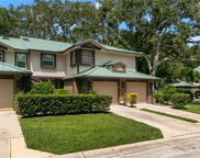 2692 Walnut Drive Unit 1004, Palm Harbor image
