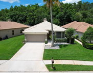 3704 Darston Street, Palm Harbor image