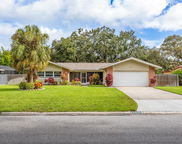 1310 Fairway Drive, Dunedin image
