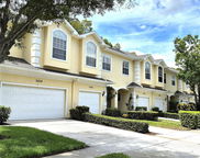3438 Primrose Way, Palm Harbor image