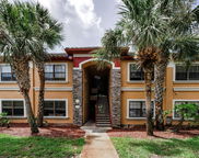 2188 Chianti Place Unit 1016, Palm Harbor image