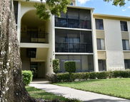 3188 Lake Pine Way S Unit D1, Tarpon Springs image