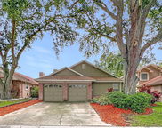 1876 Springbush Lane, Clearwater image