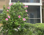 11901 4th Street N Unit 5101, St Petersburg image