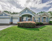3972 Mimosa Place, Palm Harbor image
