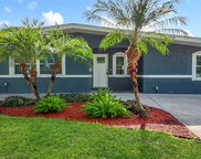 4219 Helena Street Ne, St Petersburg image
