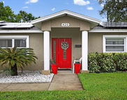 420 Lewis Boulevard Se, St Petersburg image