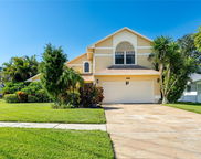1229 Holiday Drive, Tarpon Springs image