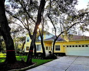 2175 Oak Forest Lane, Palm Harbor image
