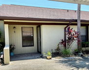 1311 Powderpuff Drive Unit 1009, Dunedin image
