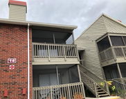 9100 Dr Martin Luther King Jr Street N Unit 1410, St Petersburg image