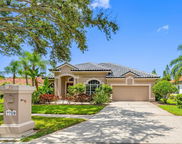 7719 Aralia Way, Seminole image