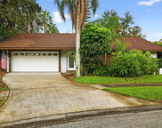 9131 136th Way, Seminole image