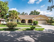 2182 Santa Paula Drive, Dunedin image