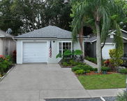 674 Channing Drive, Palm Harbor image