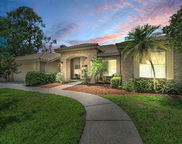 85 Kelleys Trail, Oldsmar image