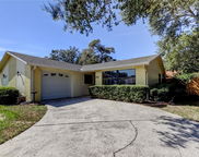 1404 Castleworks Lane, Tarpon Springs image