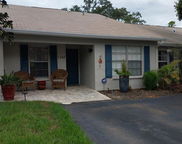 1147 Dover Court, Safety Harbor image