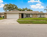5 Valencia Circle, Safety Harbor image