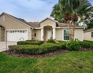 10562 Alvarado Court, Seminole image