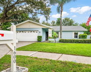 1600 Dale Circle W, Dunedin image