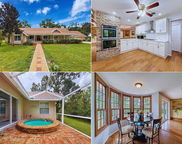 1055 Riverside Ridge Road, Tarpon Springs image
