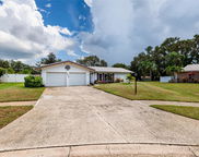 1027 Grovewood Court, Clearwater image