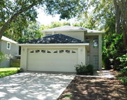 3650 Fremantle Drive, Palm Harbor image