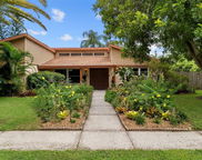 65 Harbor Woods Circle, Safety Harbor image